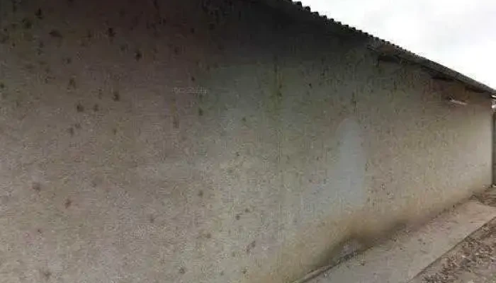 Kft Osszes - Siófok