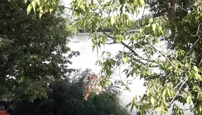Kiskore Videok - Kisköre