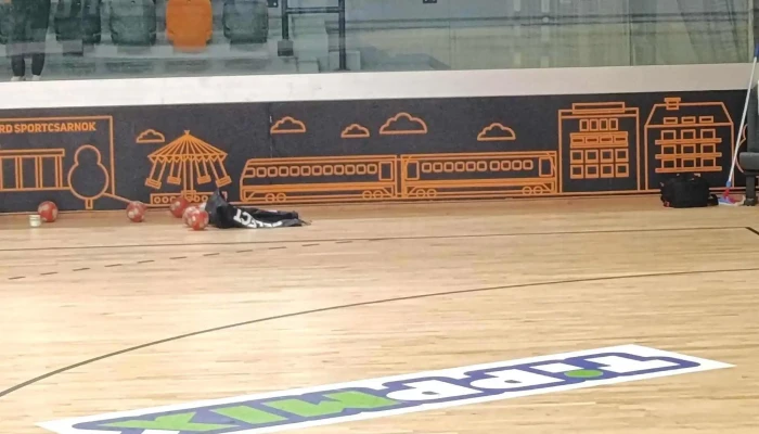 Kiss Szilard Sportcsarnok Terulet - Siófok