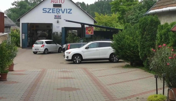 Lajko Autoszerviz Kft Autoszerelő - Zsámbék