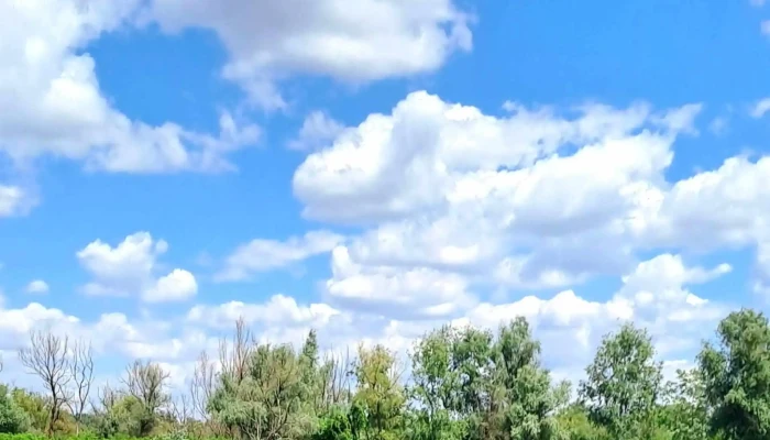 Lakiteleki Tozegbanya Tavak Kisreti Tavak Hogyan Lehet Odajutni - Lakitelek