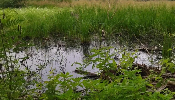 Lakiteleki Tozegbanya Tavak Kisreti Tavak Nyitva Most - Lakitelek