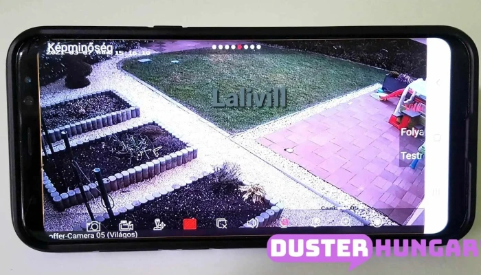 Lalivill -  A Tulajdonostol - Pécs