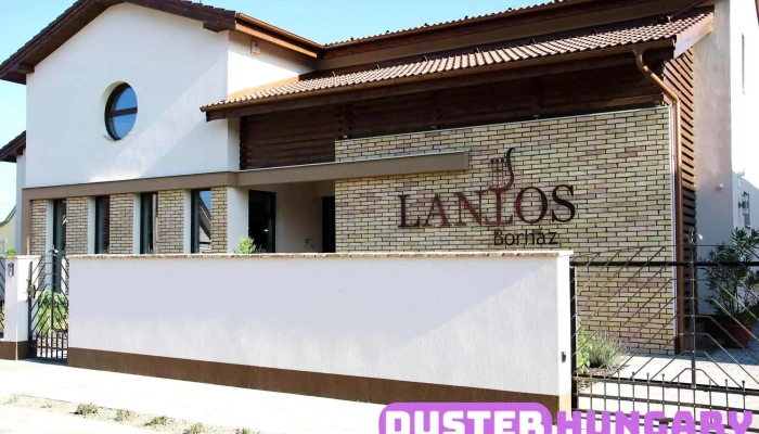 Lantos Borhaz Es Latvanypince Lantos Boraszat Osszes - Soltvadkert