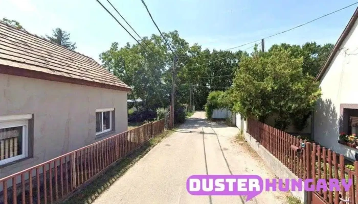 László és László Kkt. - Székesfehérvár