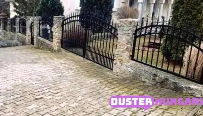 Lauro Sandor Diszmukovacs A Tulajdonostol - Diósjenő