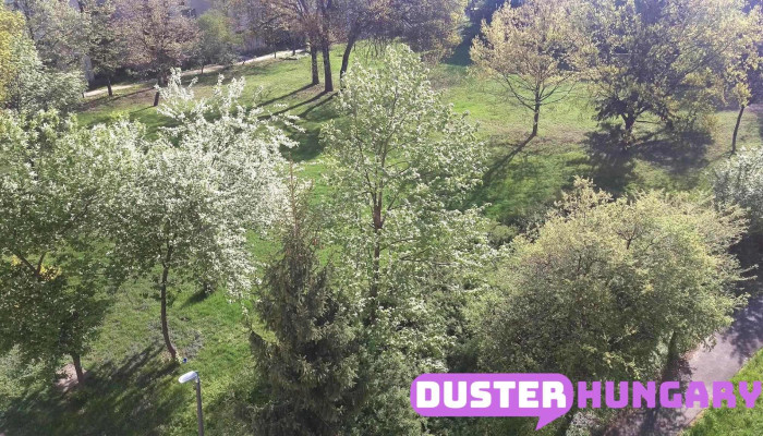 Lencsesi Lakotelep Osszes - Békéscsaba