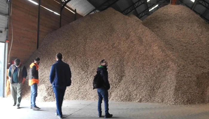 Liget Gatter Kft Fűresztelep - Szárliget