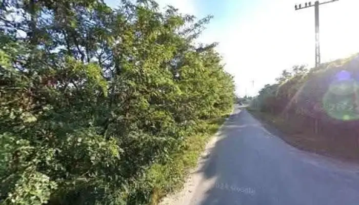 Limagrain Hungaria Kft Osszes - Zsombó