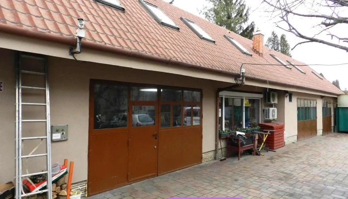 Lokkos Arpad A Tulajdonostol - Szombathely