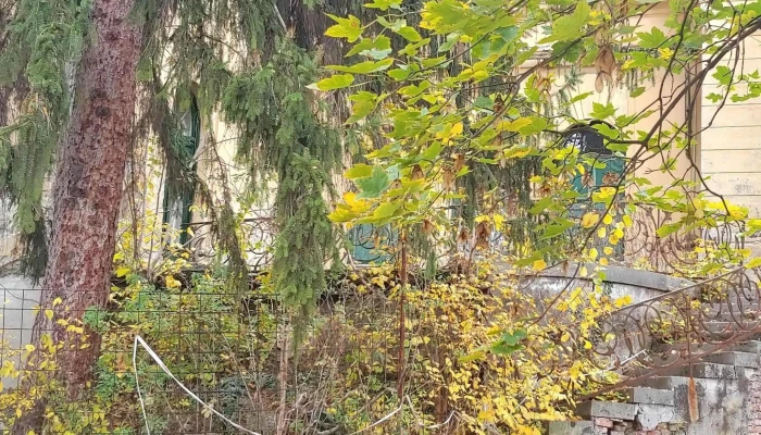 Luczenbacher -  Kastely Szob - Szob