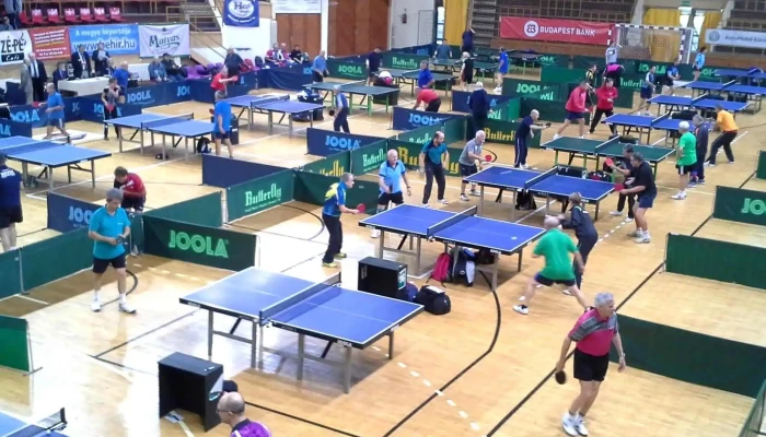 Magyar Asztalitenisz Szovetseg Sportletesitmeny - Budapest