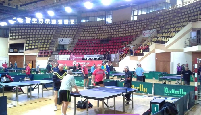 Magyar Asztalitenisz Szovetseg Stadion - Budapest