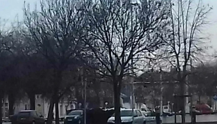 Magyar Autoklub Szerviz  Es Vizsgapont Akcio - Szeged