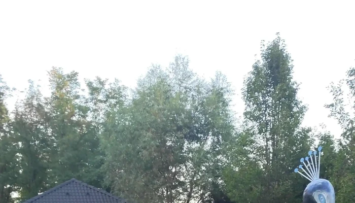 Magyar Talleros Rendezvenyhaz Terulet - Nyírtass