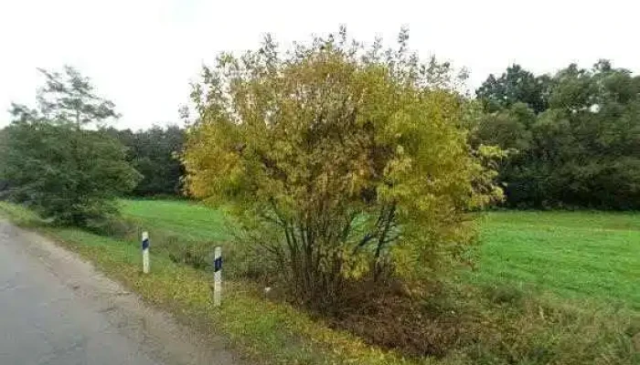 Malackert -  Utcakep Es 360deg - Domony