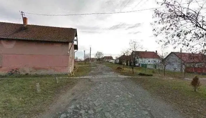Mehkerek Utcakep Es 360deg - Méhkerék