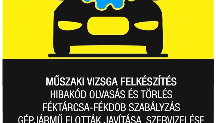 Meszaros Sandor A Tulajdonostol - Abony
