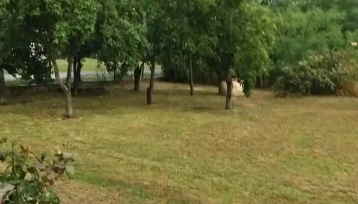 Mezokeresztes Videok - Mezőkeresztes