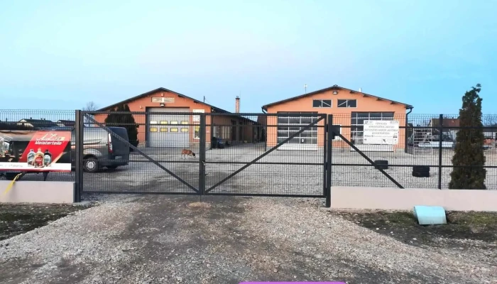 Mixto Car Kft Autofenyezes Muszaki Vizsgaztatas Eredetiseg Vizsgalat Osszes - Hejőpapi