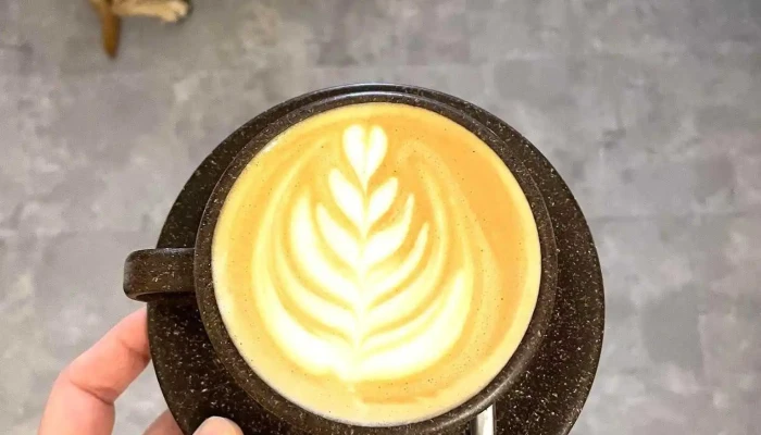 Modam Specialty Coffee Store Cafe Cortado - Szombathely