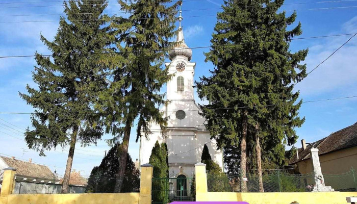 Mohácsi - Hungary