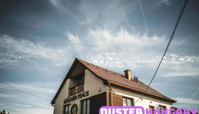 Molnar Es Fiai Pinceszet Kft Osszes - Abasár