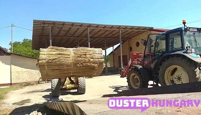 Nagy -  Nad Kft   Nad Termesztes Es Nadteto Nadszovet Nadlemez Ertekesitesraktarozas Osszes - Balmazújváros