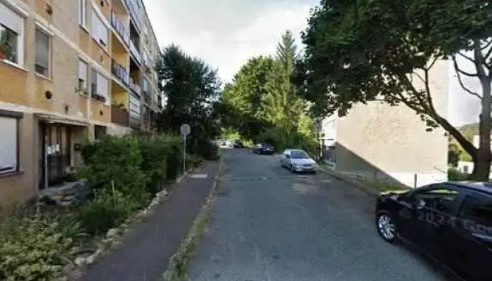 Nagy Peter Vallalkozo Berrajzolo Utcakep Es 360deg - Salgótarján