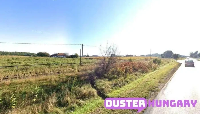 Nagy Transfer Kft. - Pócsi U. 114