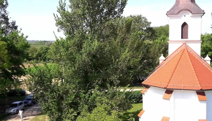Nagygec Novenyzet - Csengersima