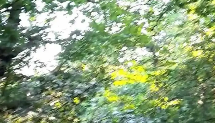 Nagykovacsi Videok - Nagykovácsi