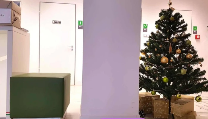 Nemzeti Adó- és Vámhivatal - Hősök Tere 1