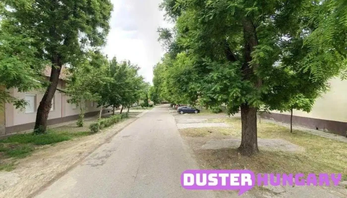 Nemzeti Adó- és Vámhivatal - Justh Gyula U. 2/b