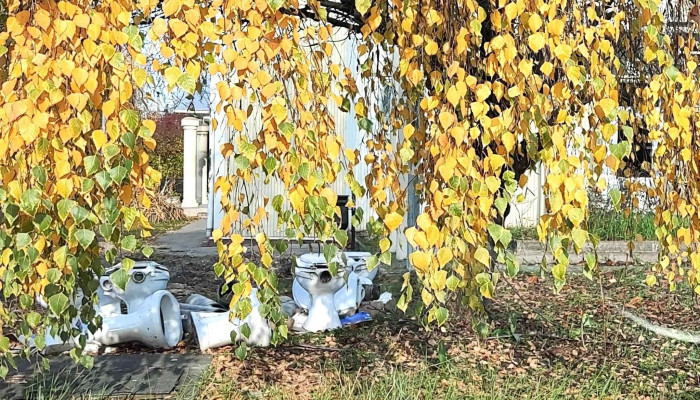 Nkh Szigetszentmiklos Muszaki Vizsgaloallomas Arak - Szigetszentmiklós