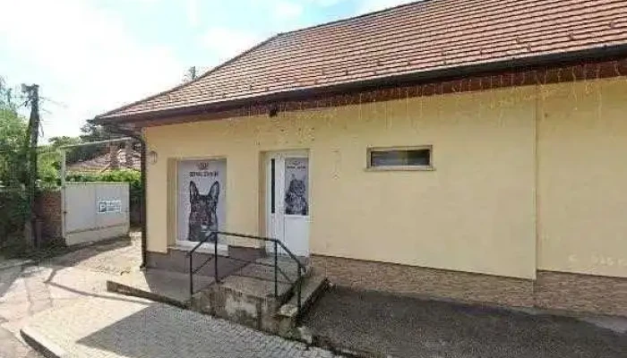 Non -  Stop Zarszerviz Leanyfalu Osszes - Leányfalu