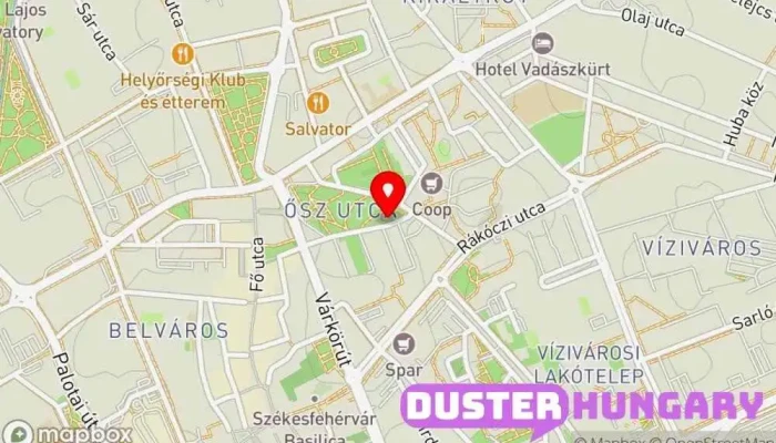 térkép Nonstop Zárszervíz-Ajtónyitás Zárnyitás Immobilizeres autókulcs másolás-javítás Bélyegző készítés Kulcsmásolás, Autóvillamosság, Gumibélyegzők boltja, Sportkupaüzlet ban Székesfehérvár