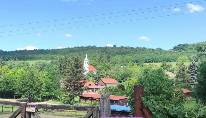 Nyim -  Osszes - Nyim
