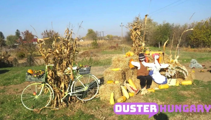 Nyírcsászári - Nyírcsászári