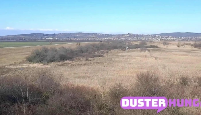 Pakozd Videok - Pákozd