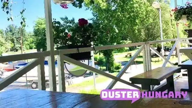 Part Dunabogdany   Bufe Hajotarolas A Tulajdonostol - Dunabogdány