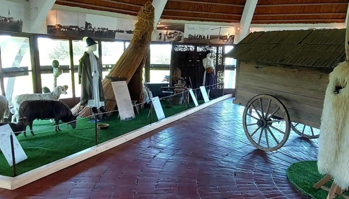 Pasztormuzeum Hozzaszolasok - Bugac