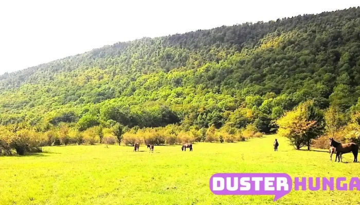 Pilisszentkereszt -  Hegy - Pilisszentkereszt