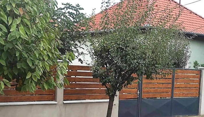 Plate -  Kerites Kft Instagram - Szolnok
