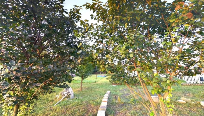 Polgar Utcakep Es 360deg - Polgár