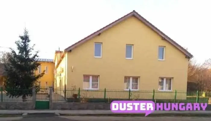 Polgarmesteri Hivatal Sarszentmihaly Osszes - Sárszentmihály