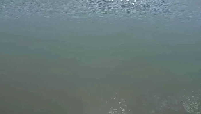 Pusztavam Videok - Pusztavám