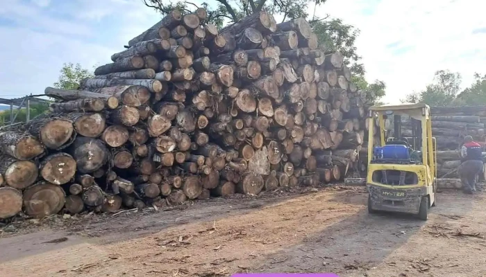 Raklap gyártása, kereskedelme, javítása. Füzes raklap kft - Füzesabony Pusztaszikszó