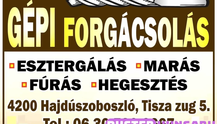 Remenyik Zsolt Gepi Forgacsolo A Tulajdonostol - Hajdúszoboszló