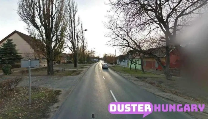 Repka László - Dunaharaszti